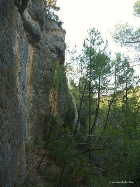 Paredes equipadas para escalar 