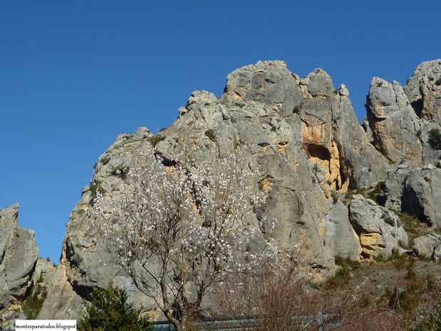 Almendros en flor (© Montañismo para todos) 