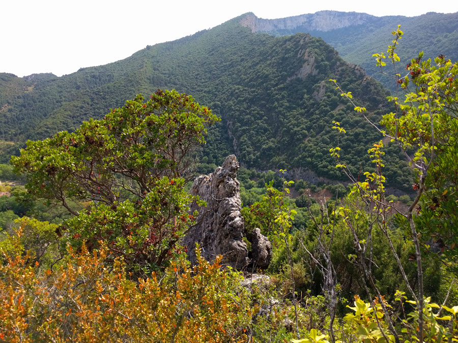 Vista atrás a la zona de iniciación 