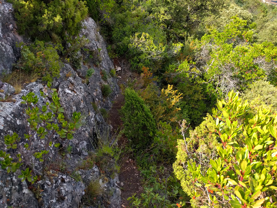 Senda de bajada al camino de regreso 