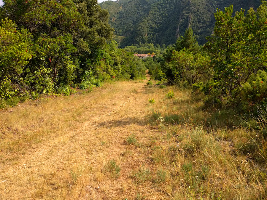 Pista que baja directo al balneario abandonado de Sobrón 