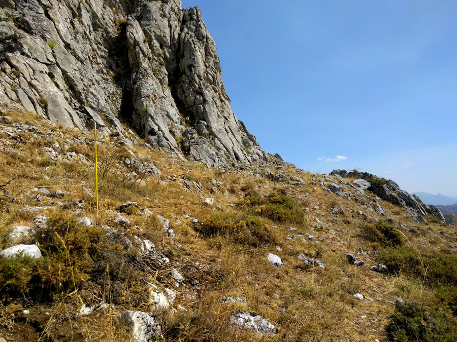 Seguimos los postes finos amarillos 