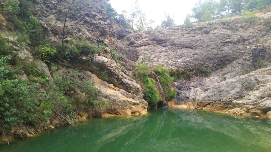 Charco de la Horteta 