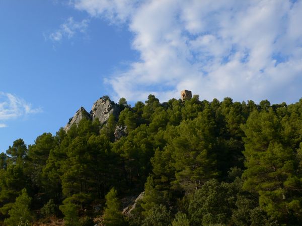 Desde el parking sobresale en el bosque la pared de la ferrata 