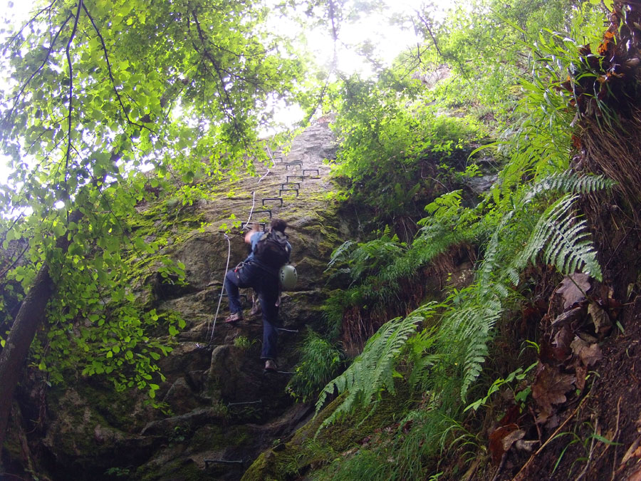 Inicio de la segunda parte 