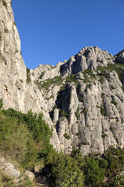 Primera vista del Torrent Fondo 