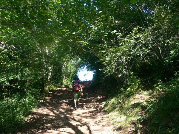 Últimas subidas del camino 