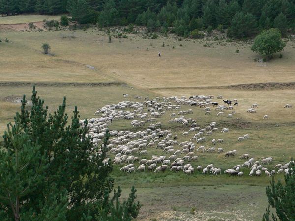 Las afueras de Gósol 