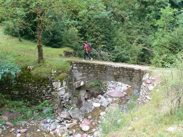 Bajando a Bellver junto al Río Santa María 