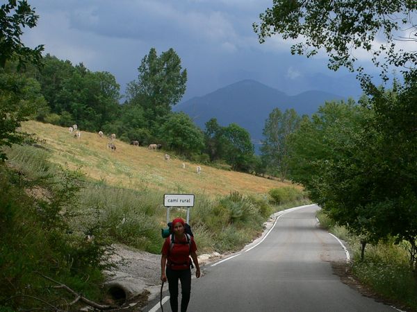 Dura subida en asfalto en dirección a Can Jan de la Llosa 