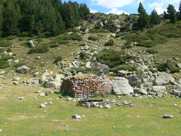 La Cabana dels Esparvers 