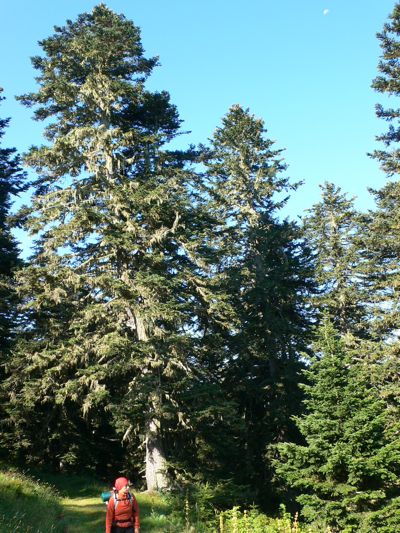 Despertando en el Coll de Jos 