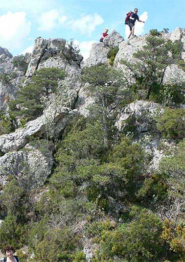 Por el sendero J. Brunet 