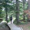 Al final la pasarela desciende por unos escalones - aquí finaliza la parte accesible -  / Ruta a pie Sant Nicolau entrada a Aigüestortes 