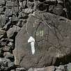 Último indicador del descenso - con flechas y los 5,5 km recorridos - / Ruta a pie Barranco de Masca 