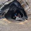 En el interior de la secuoya Room Tree / Ruta a pie Sequoia National Park | Bosque gigante de secuoyas  