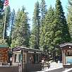 Cabinas de entrada al Parque Nacional de Yosemite -Pago de $20- / Ruta a pie Yosemite | Mariposa Grove 