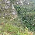 Entramos a una zona de selva alta 