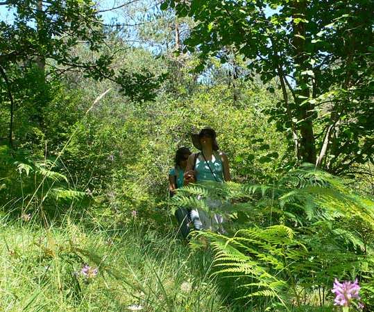 Torrente de la Cabana