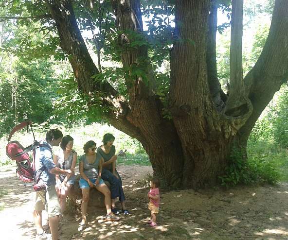 Viladrau, La Selva, Girona, Catalunya, España