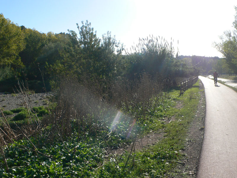 Junto al río Congost 