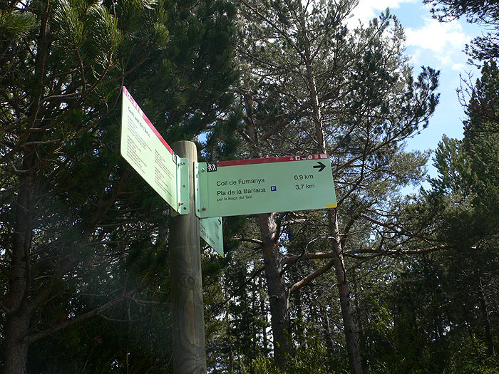 Desvío al Coll de Fumanya y Cingles de Vallcebre 