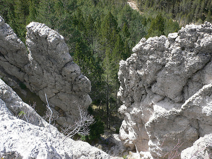 Paredes 