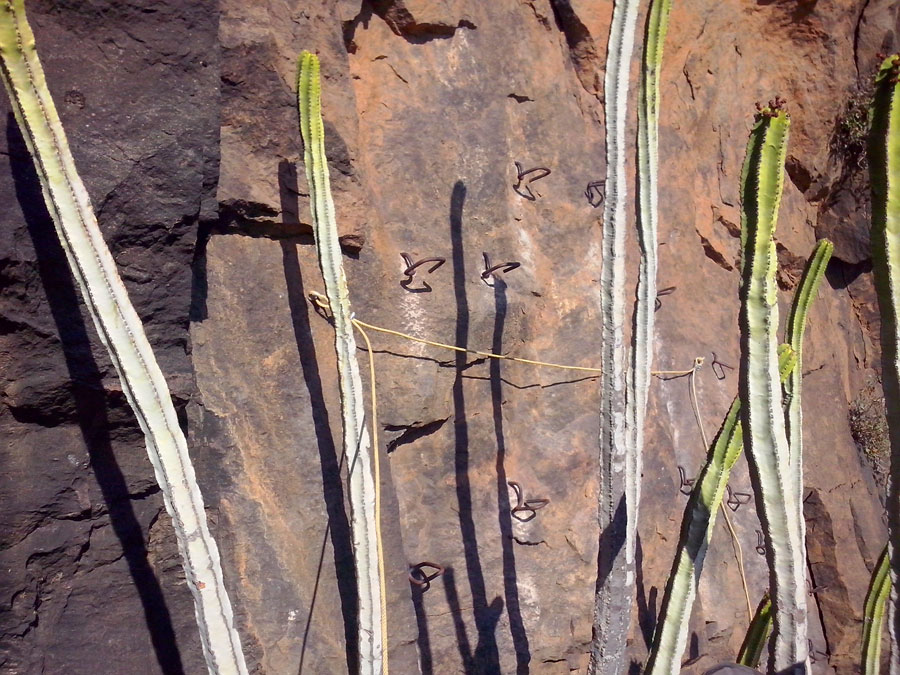 Detalle equipamiento 