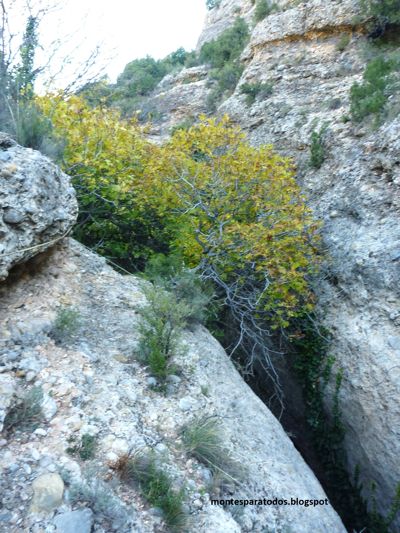 Pasamanos de acceso al huerto (© Montañismo para todos) 