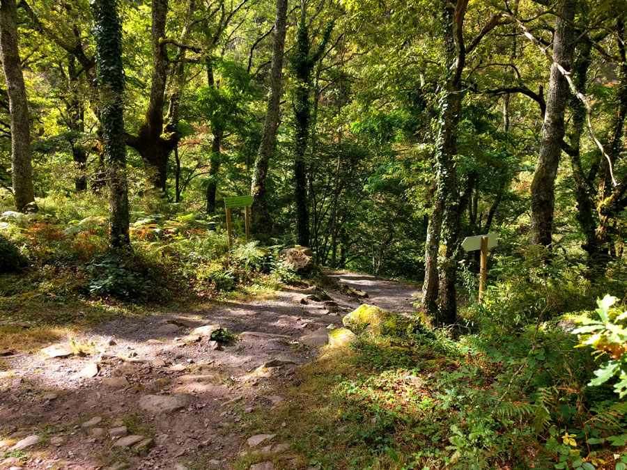 Camino de acceso a la vía ferrata 