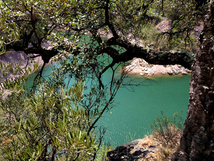 Vista al pantano de Benitandus 