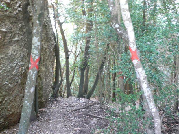 Bajada que nos lleva a la ferrata Borinot 