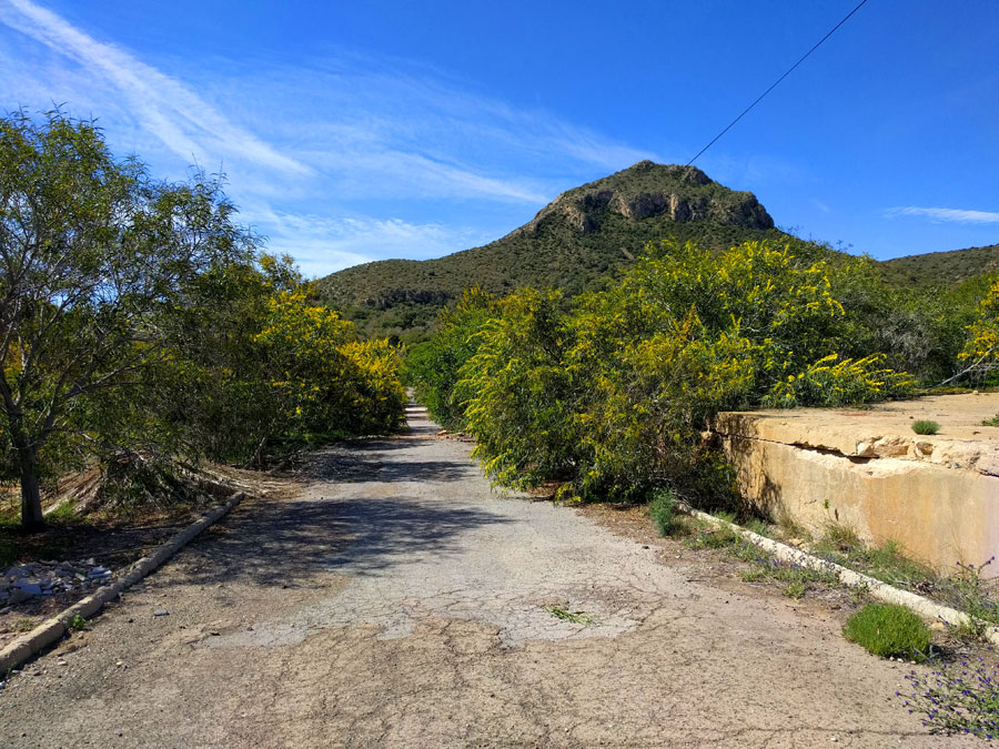 Senda de aproximación algo cerrada en las antiguas instalaciones de Río Tinto 