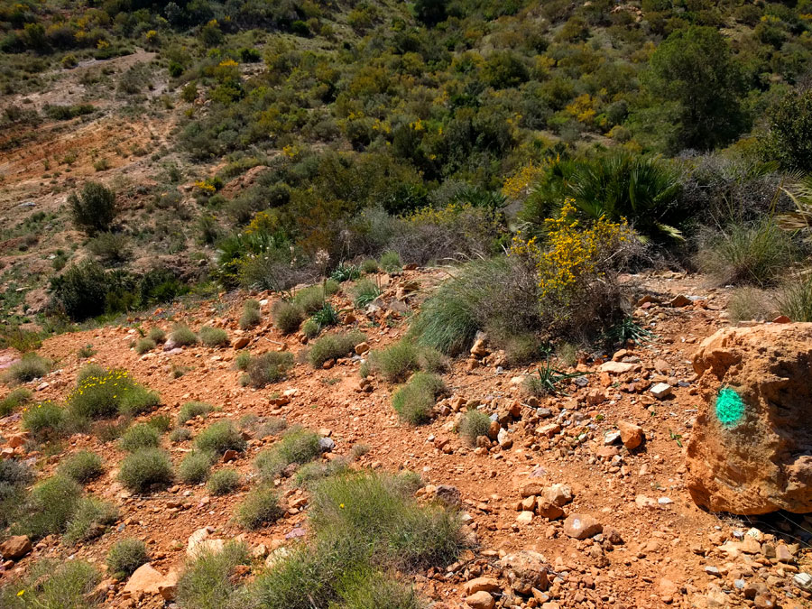 Seguimos las marcas verdes 