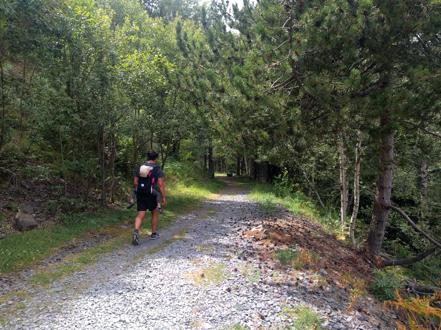 El sendero llanea por una ancha pista 