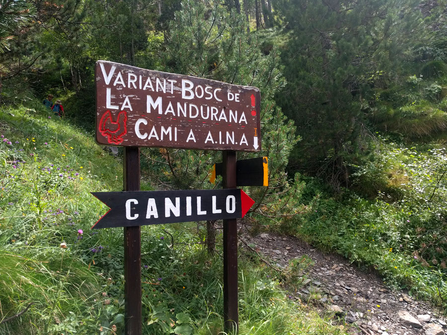 Variante más larga que entra al bosque de la Mandurana 