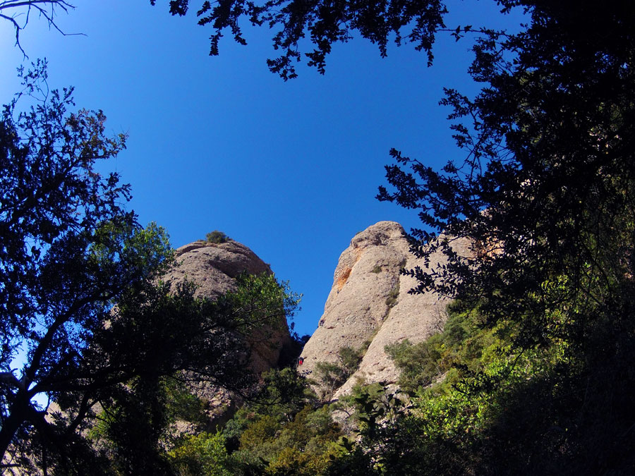 Ambiente de Escalada 