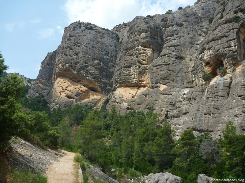 Mola del Don 