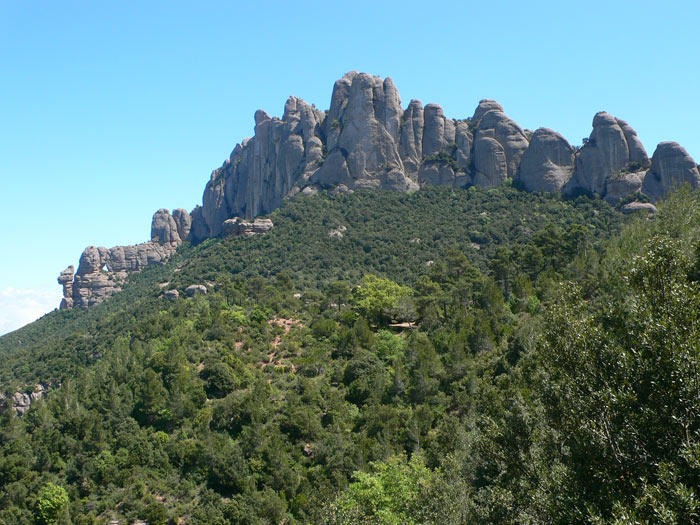 Vista del Serrat de la Portella y la pared de les Agulles 