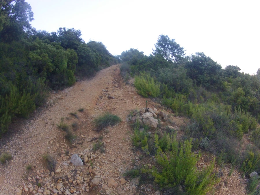 Estaca verde que nos indica que debemos desviarnos a la derecha 