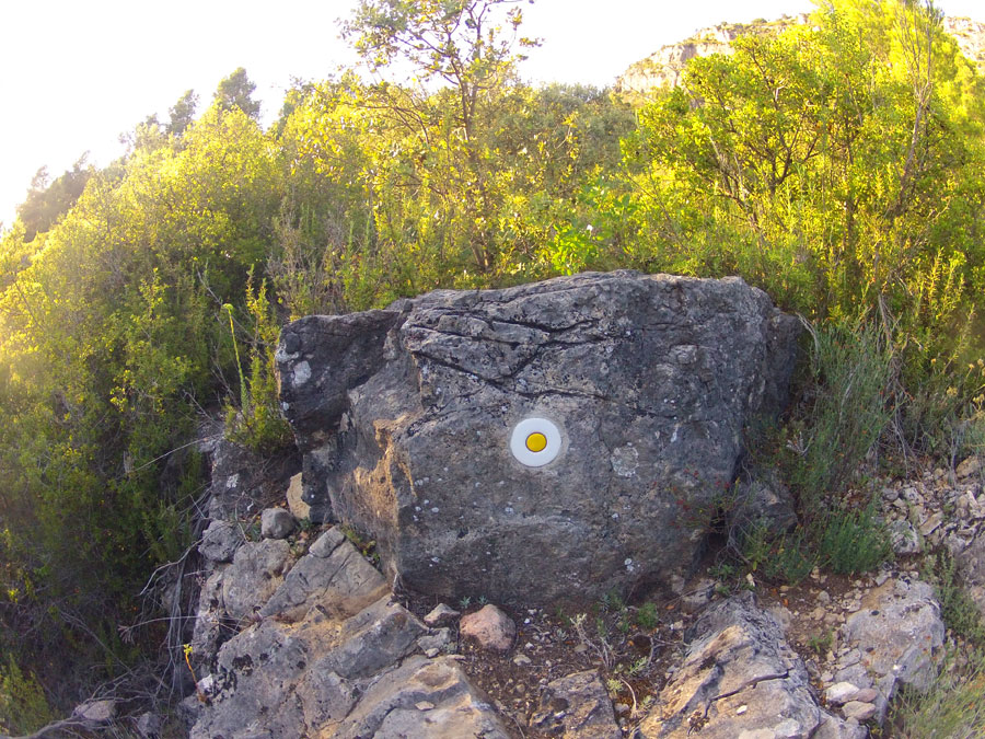 Seguimos las marcas amarillas 