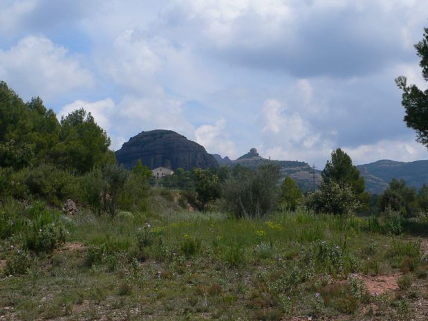 Castell de Bócs y Paller de tot l