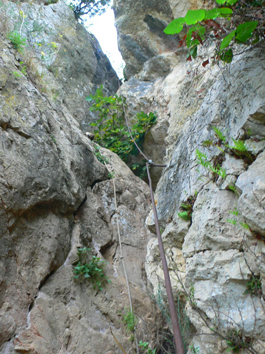 En la zona vertical 