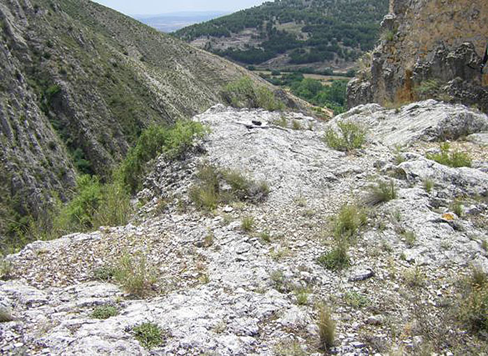 Mirador 