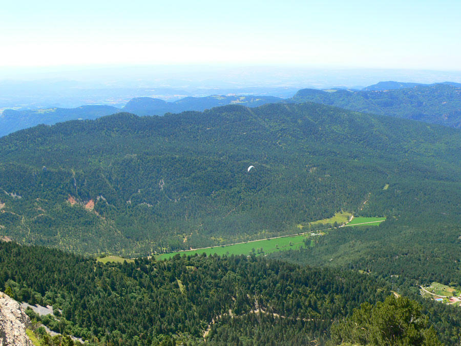 Un parapente sobrevuela el valle de Campllong donde se encuentra el Pi de les Tres Branques 