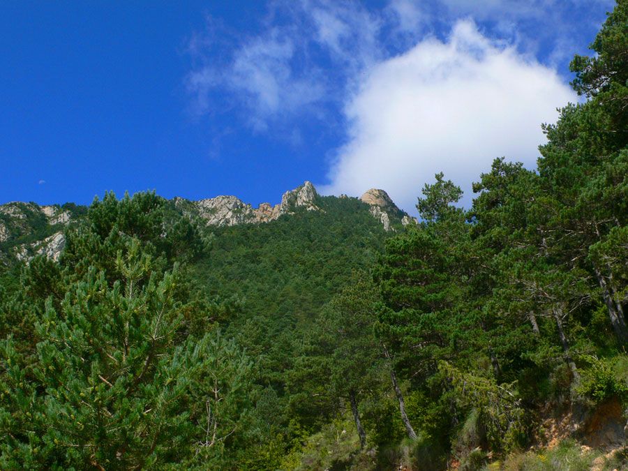 Vista del Cogulló d