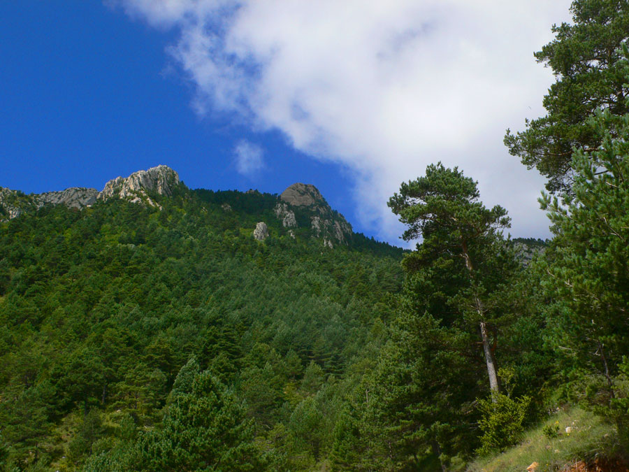 Vista más cercana del Cogulló d