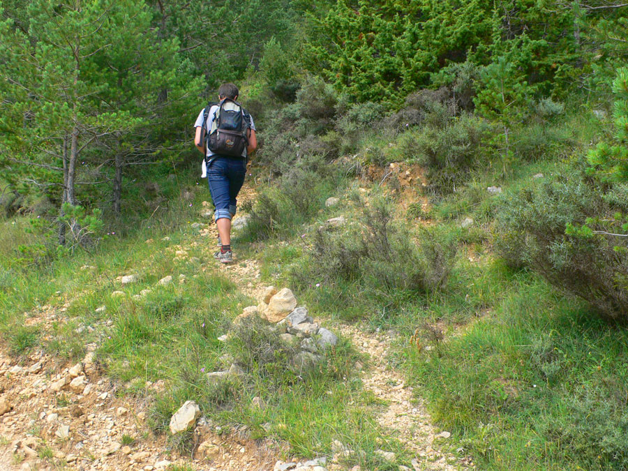 Dejamos la pista y seguimos por el atajo -señalizado con hitos y postes azules- 