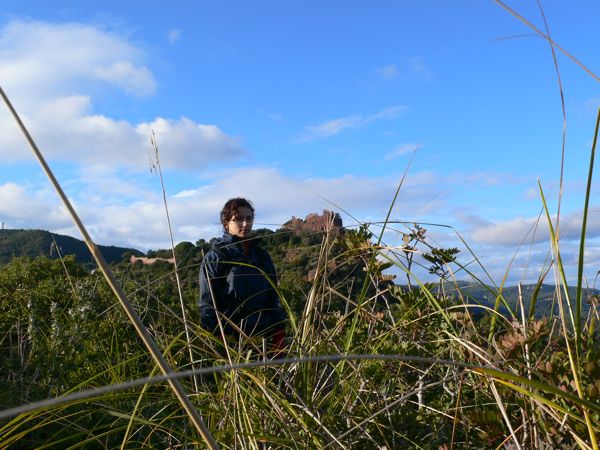 Vista del castillo desde la zona de la cruz 