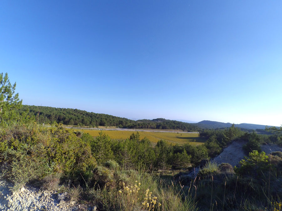 Vista a la carretera T-704 desde la aproximación 
